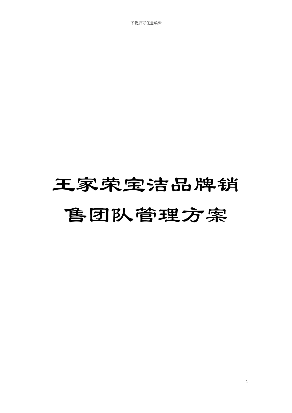 王家荣宝洁品牌销售团队管理方案模板_第1页