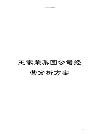 王家荣集团公司经营分析方案模板