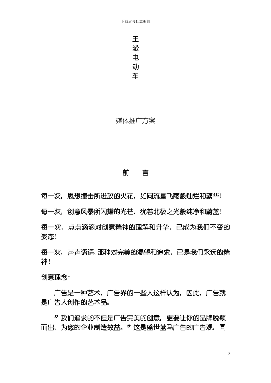 王牌电动车投放方案模板_第2页