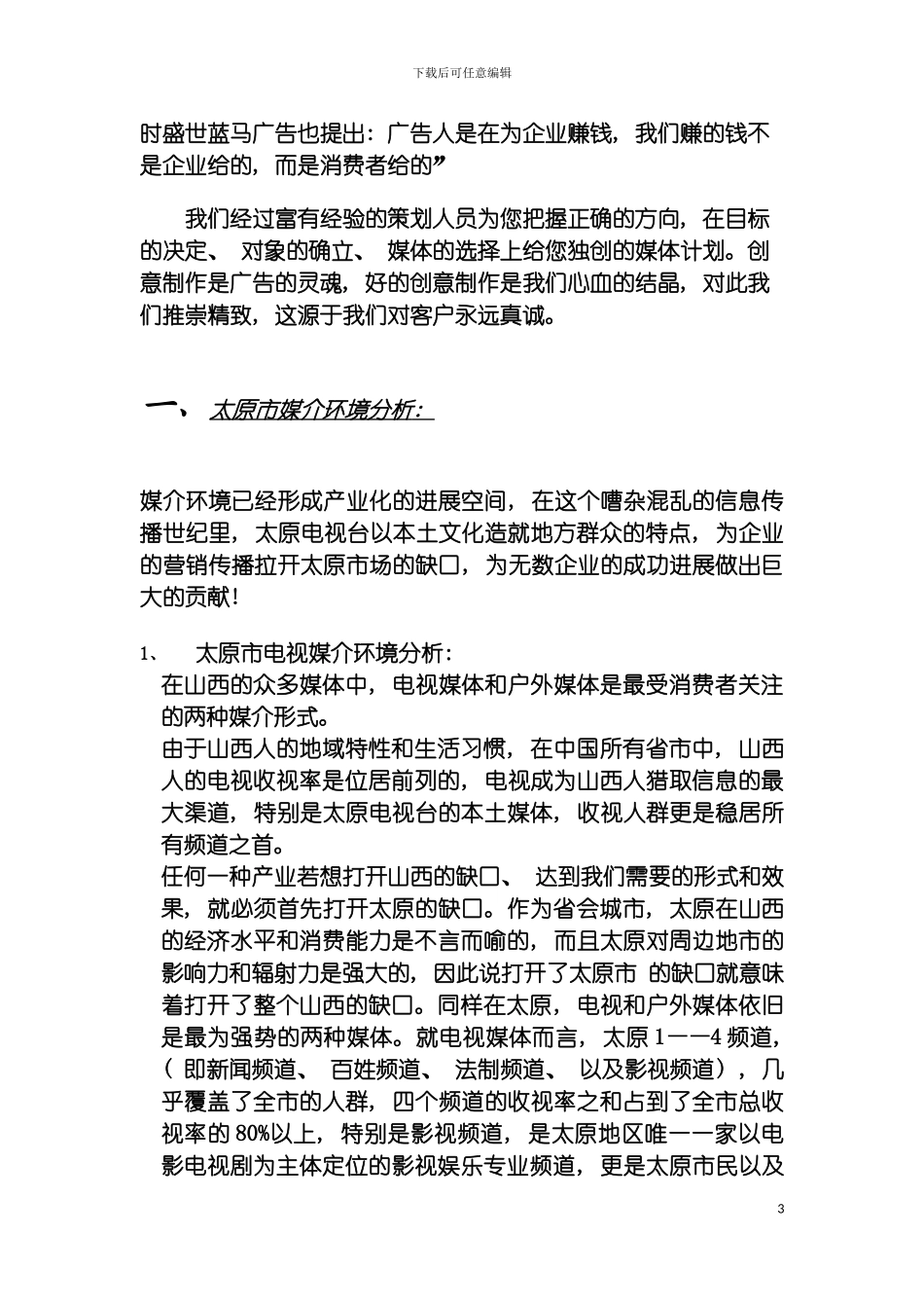 王牌电动车投放方案模板_第3页