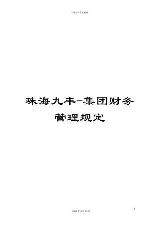 珠海九丰-集团财务管理规定