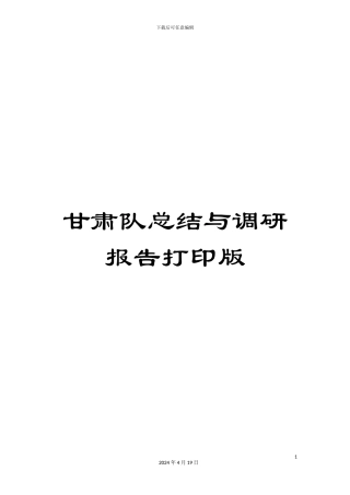甘肃队总结与调研报告打印版