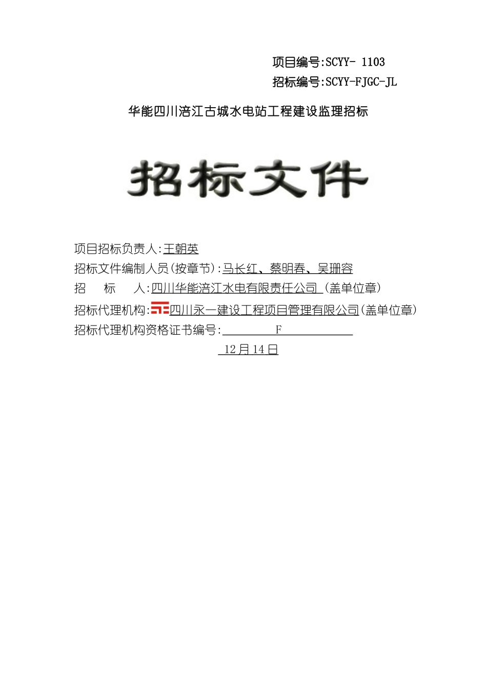 电站监理招标文件定稿_第2页