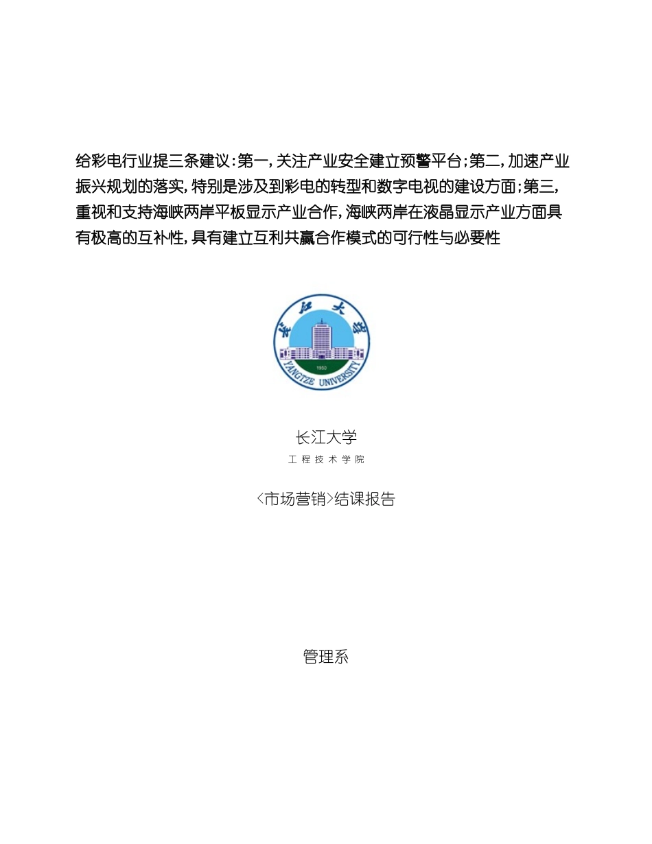 电视机营销调研报告_第2页