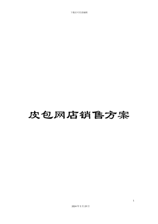皮包网店销售方案