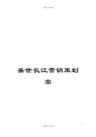 盛世长江营销策划案