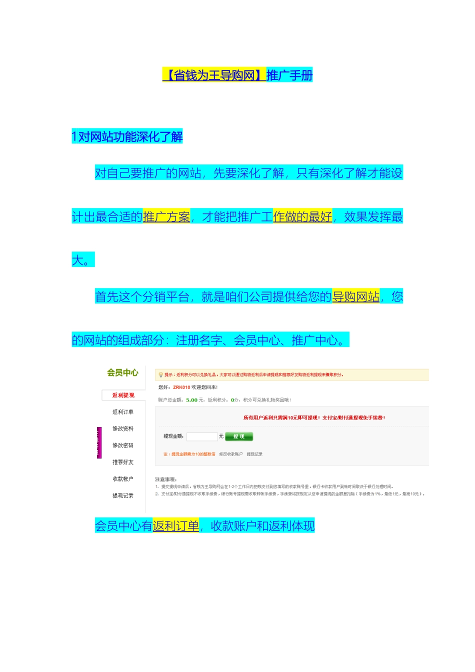 省钱为王导购网推广方案_第2页