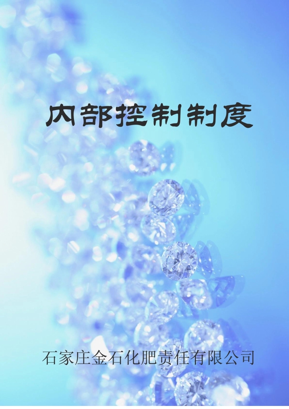 石家庄金石化肥有限责任公司内部控制制度_第2页