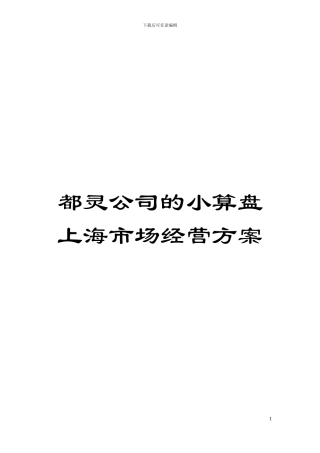 都灵公司的小算盘上海市场经营方案模板