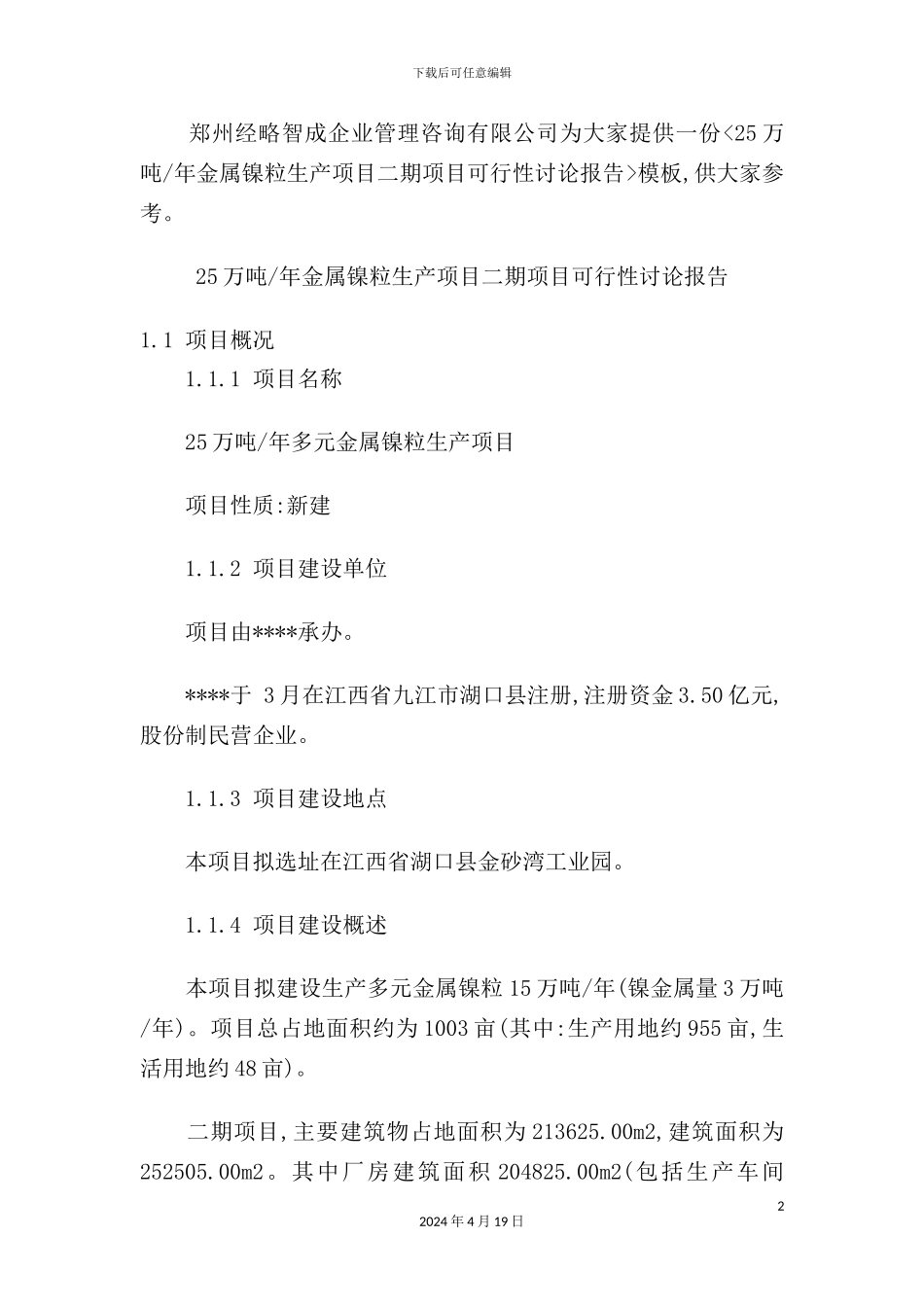 金属镍粒生产项目二期项目可行性研究报告_第2页