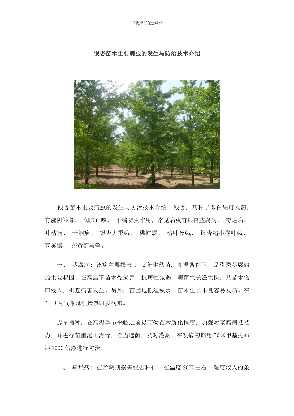 银杏苗木主要病虫的发生与防治技术介绍样本_第1页