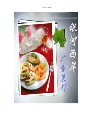 银河西岸策划书