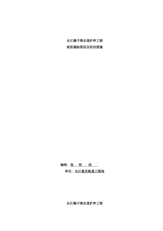 长江碾子湾水道护岸工程坡面塌陷原因及防治措施修传范样本