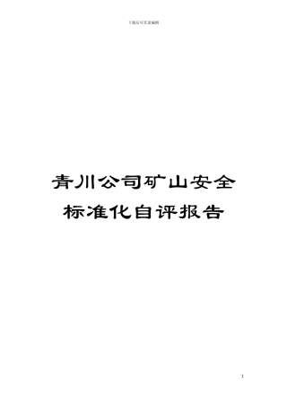 青川公司矿山安全标准化自评报告模板