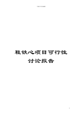 鞋铁心项目可行性研究报告模板