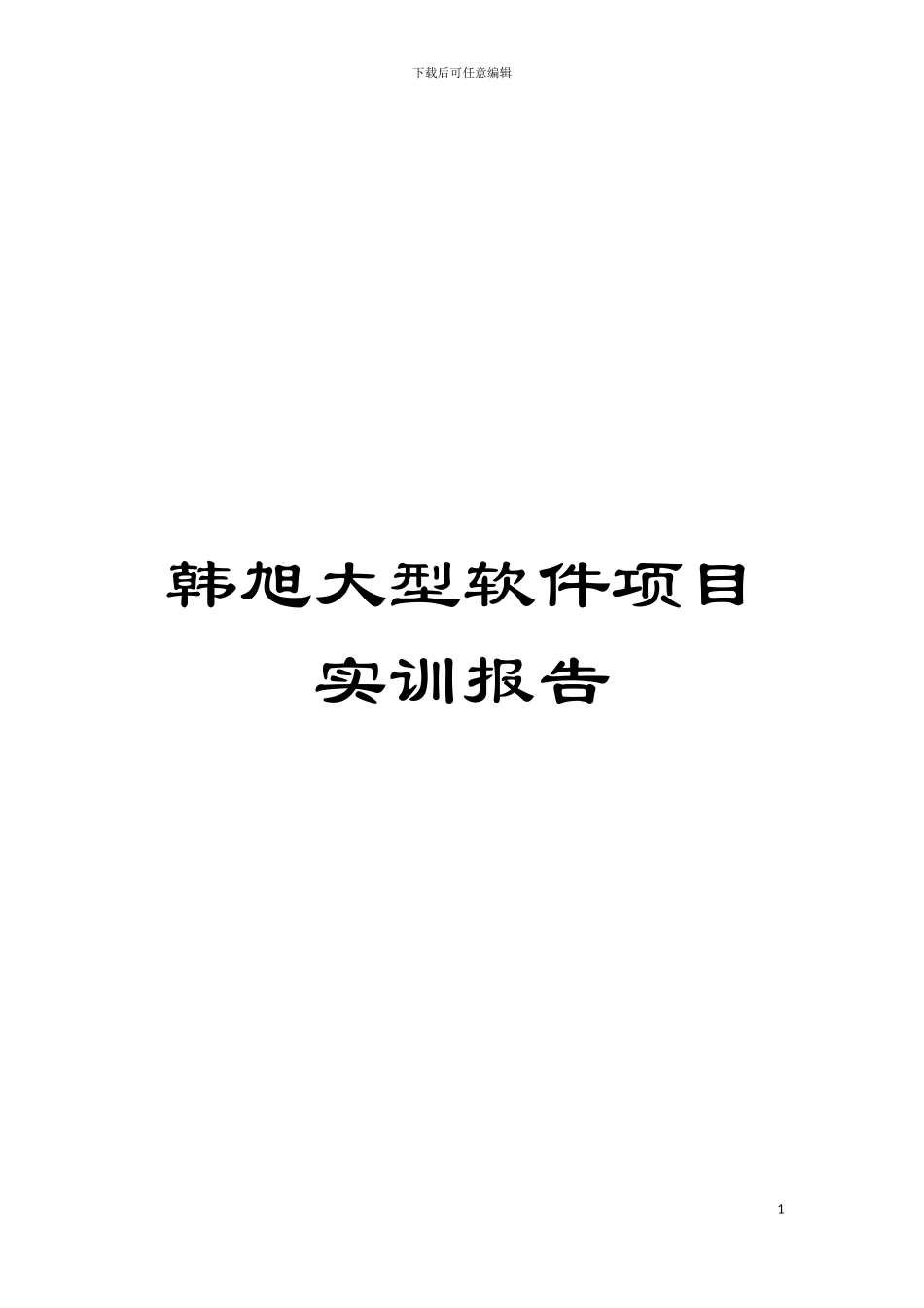 韩旭大型软件项目实训报告模板_第1页