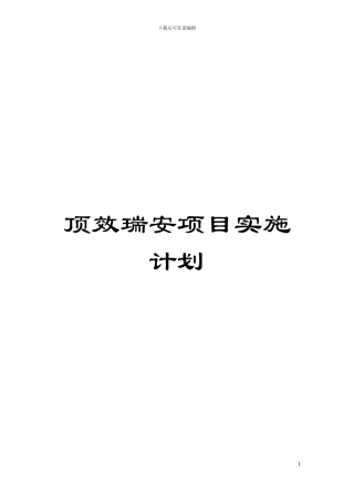 顶效瑞安项目实施计划模板