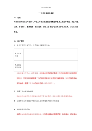 项目公司月度报告