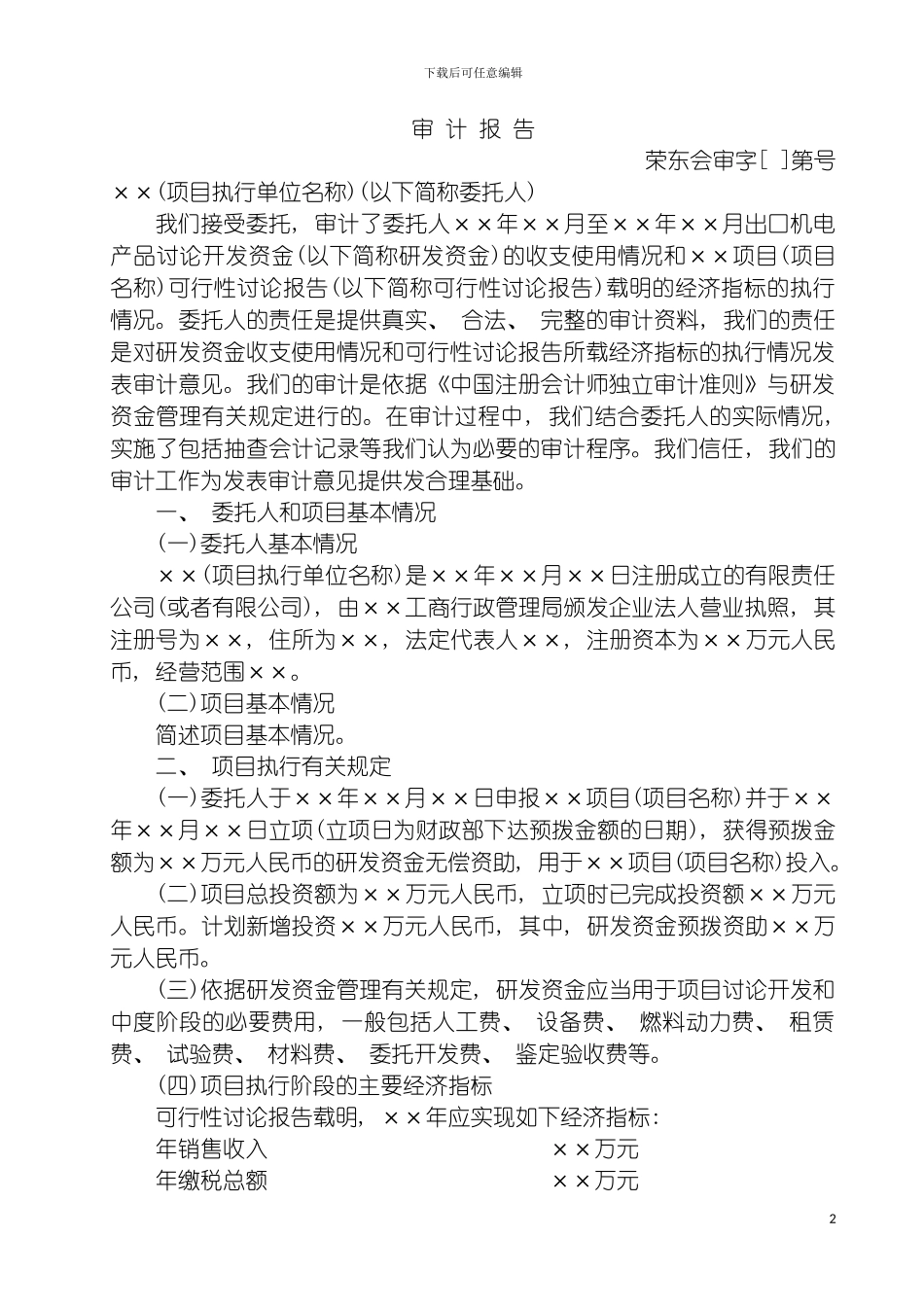 项目审计报告模板_第2页