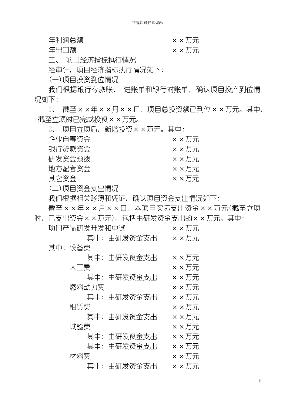 项目审计报告模板_第3页