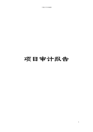 项目审计报告模板