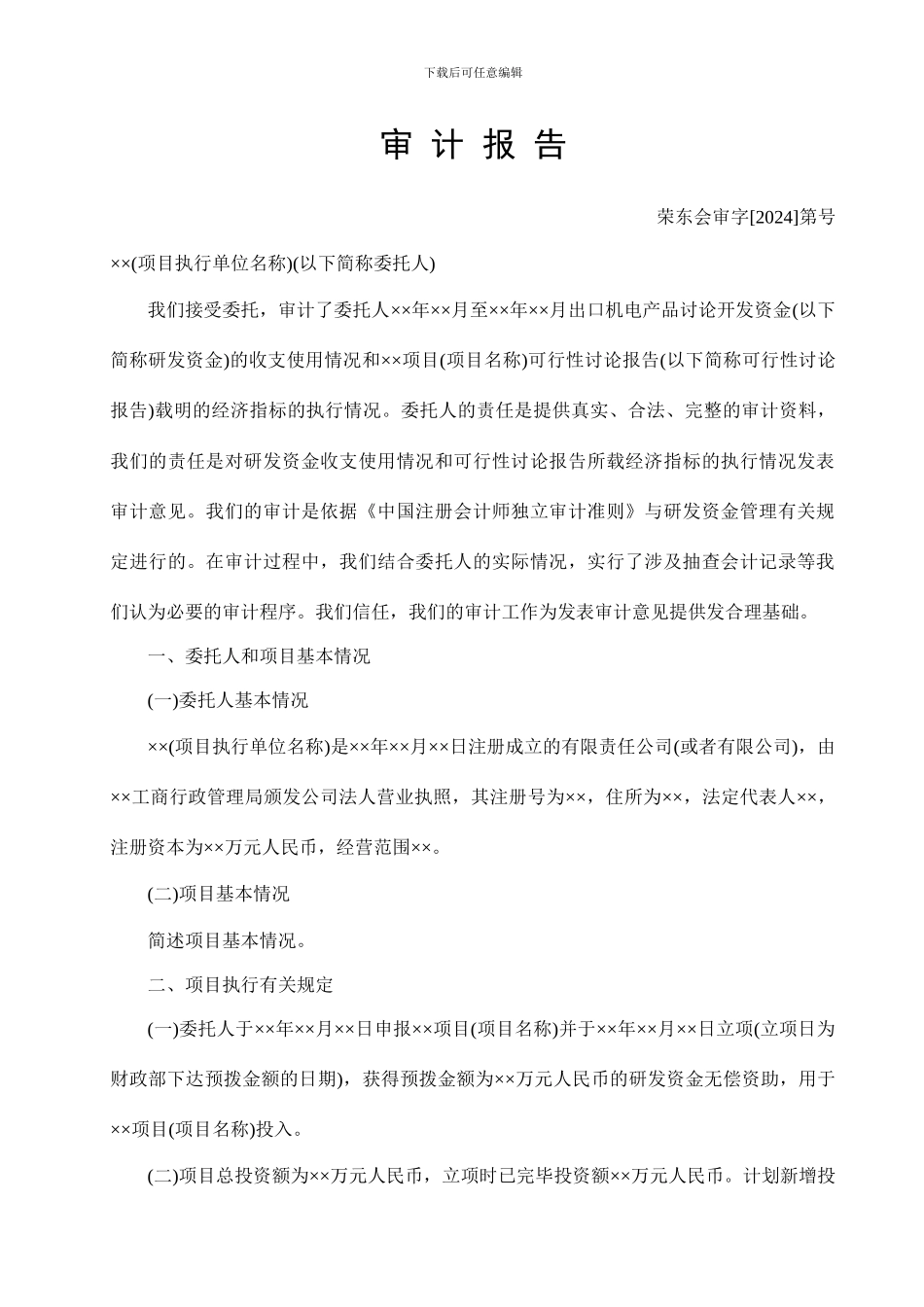 项目审计报告_第1页