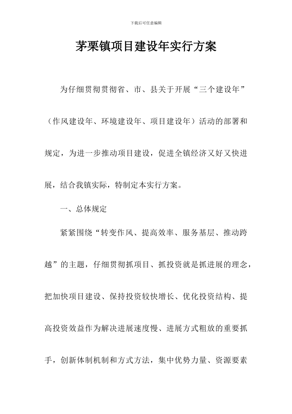 项目建设年方案文档_第1页