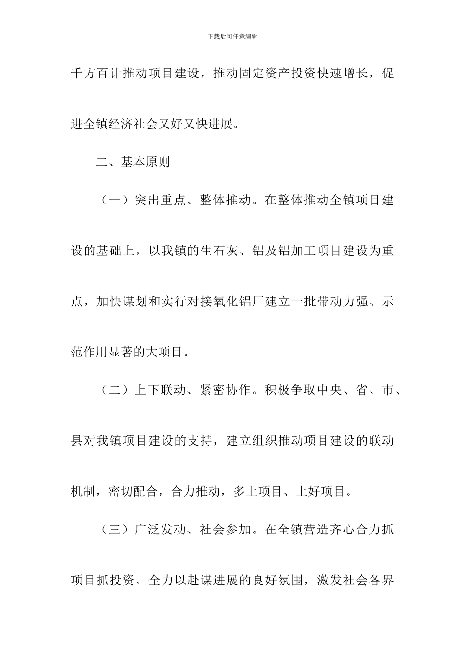 项目建设年方案文档_第2页