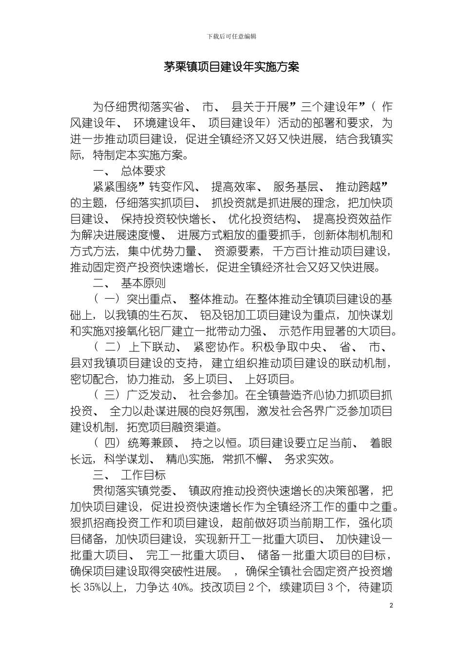 项目建设年方案文档模板_第2页