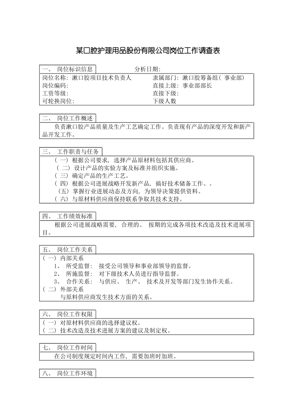 项目技术负责人岗位说明书模板_第2页