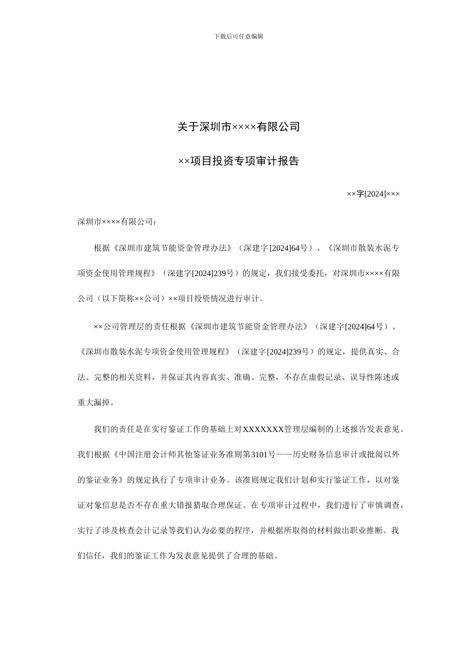 项目投资专项审计报告_第2页