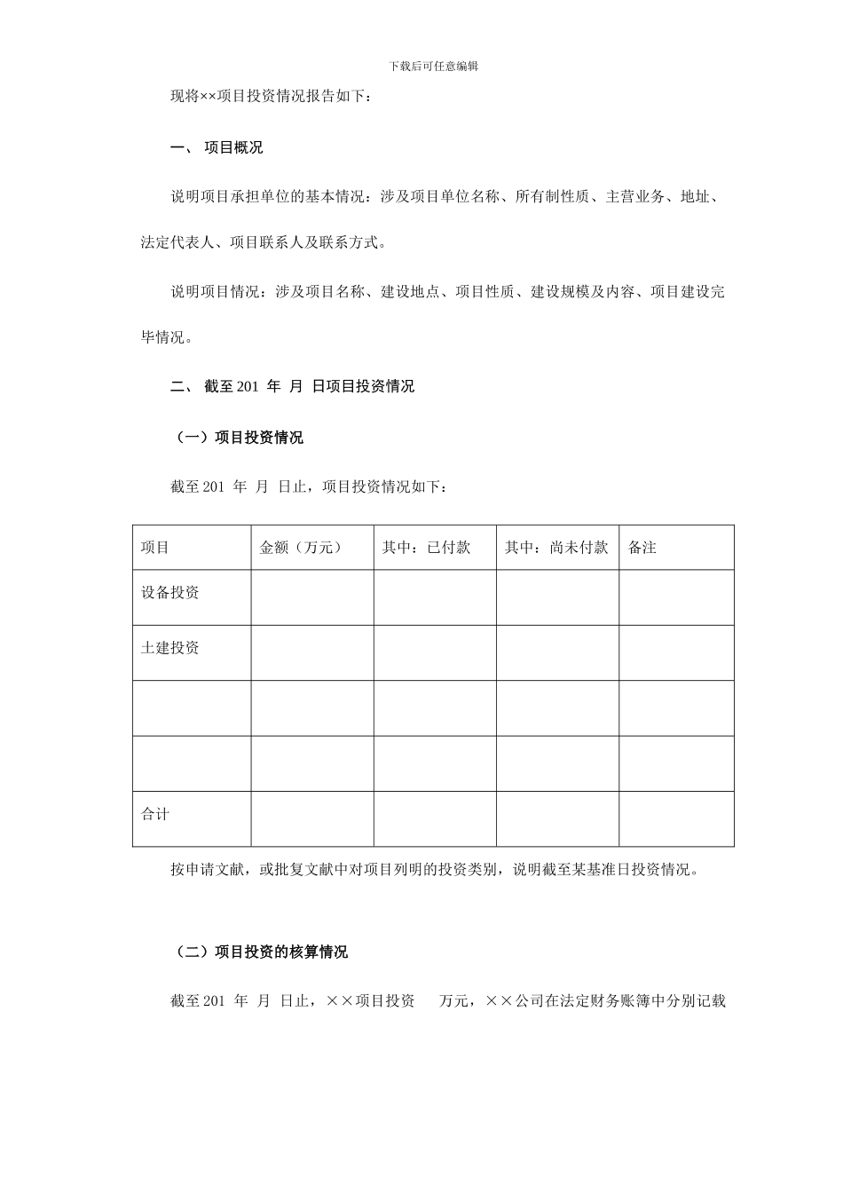 项目投资专项审计报告_第3页