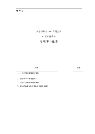 项目投资专项审计报告