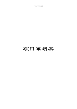 项目策划案模板