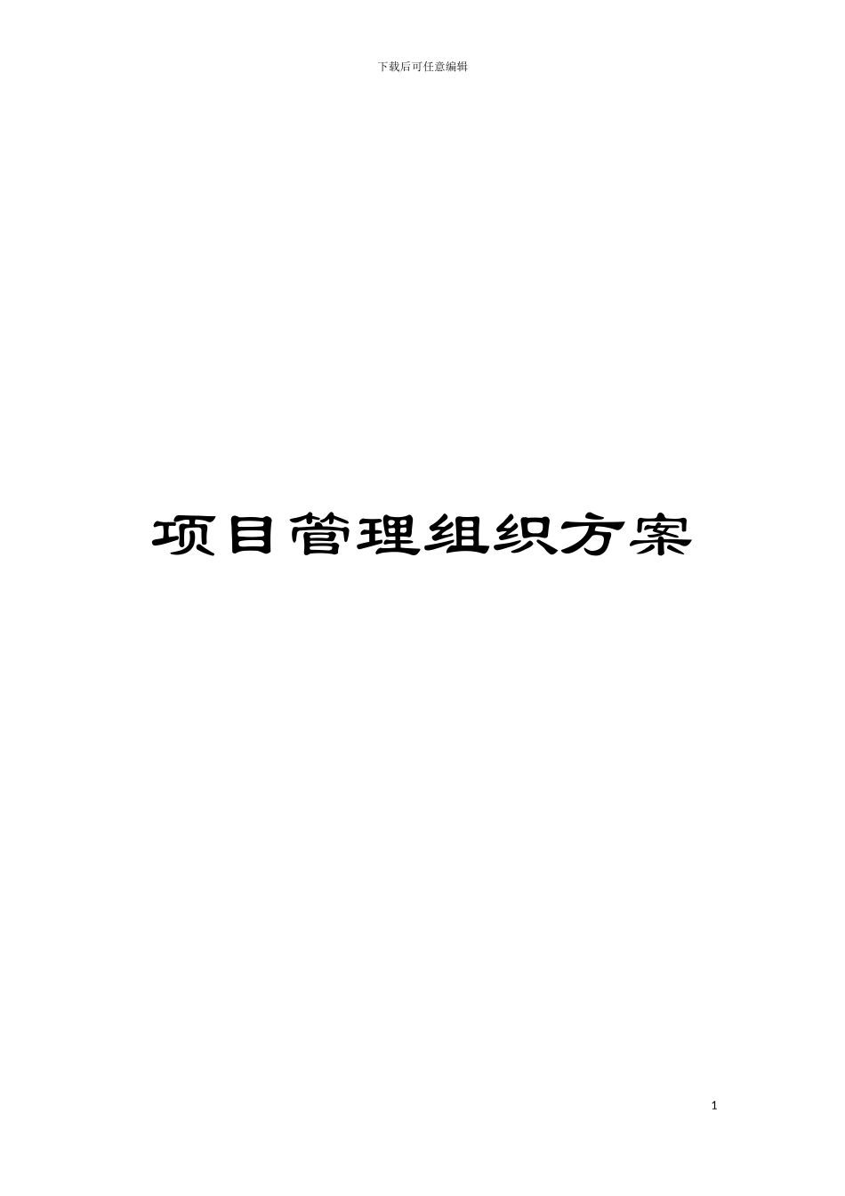 项目管理组织方案模板_第1页