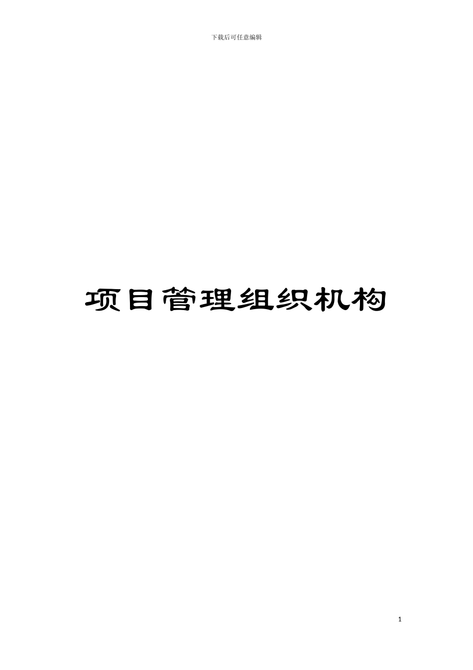 项目管理组织机构模板_第1页