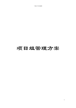 项目组管理方案模板