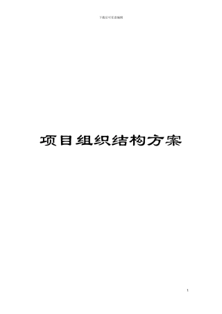 项目组织结构方案模板