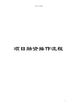 项目融资操作流程模板