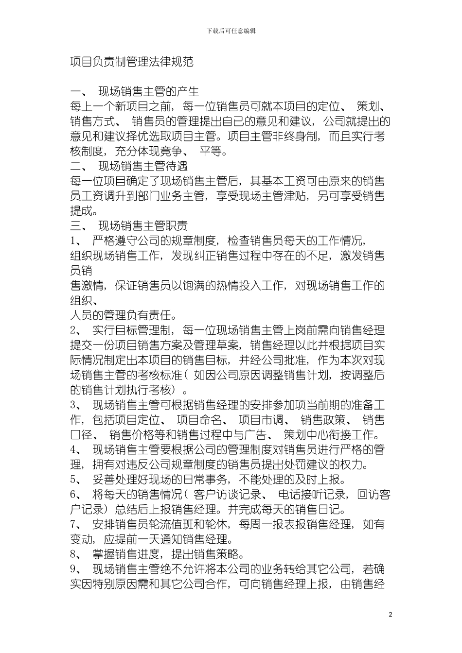 项目负责制管理规范模板_第2页
