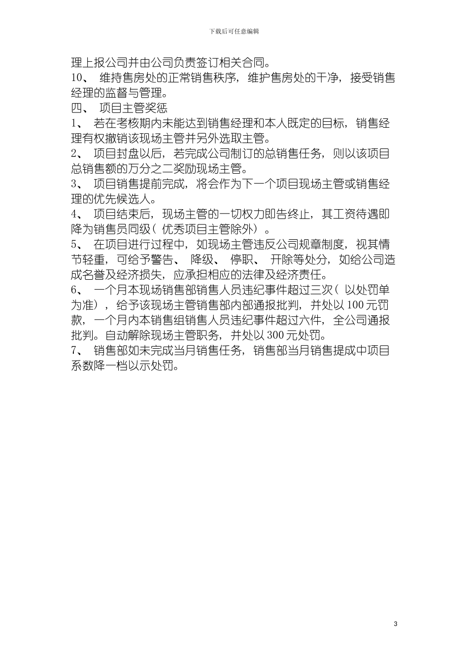 项目负责制管理规范模板_第3页
