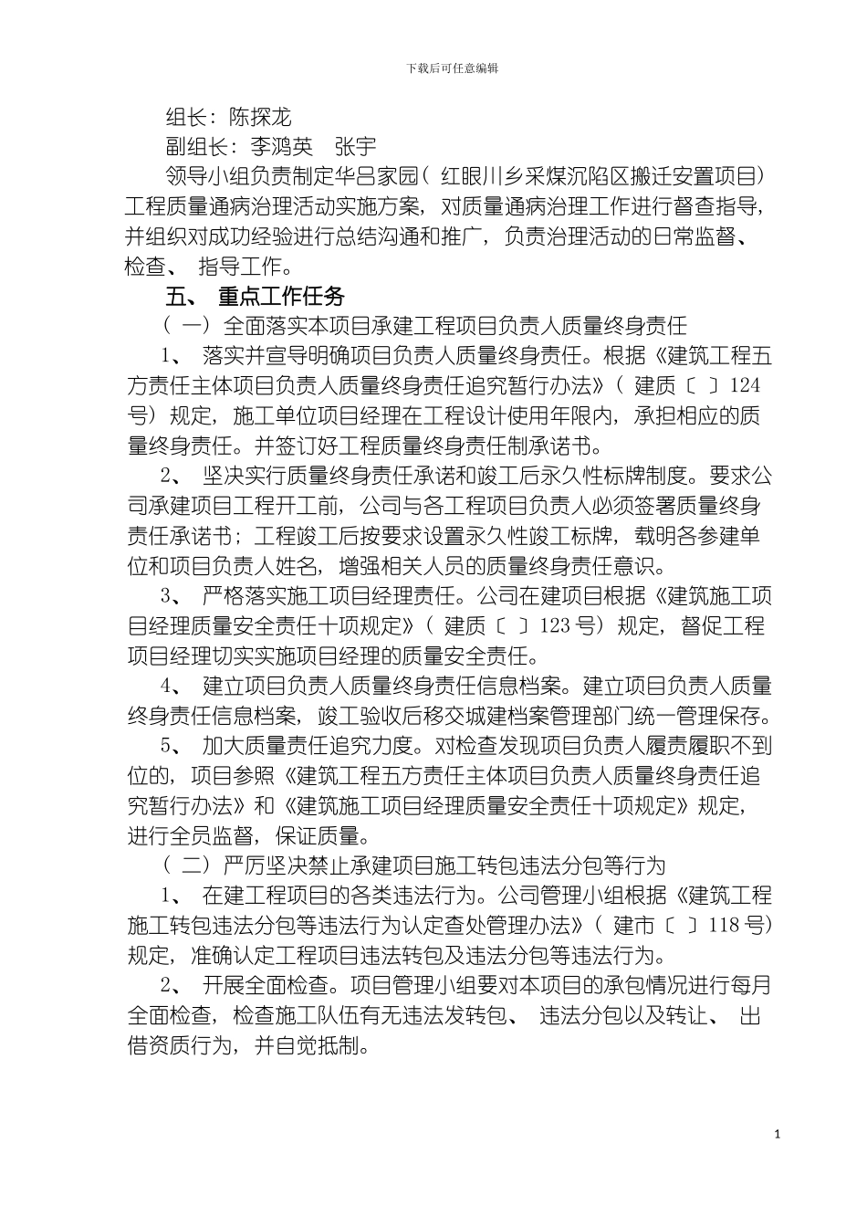 项目质量治理两年行动方案模板_第3页