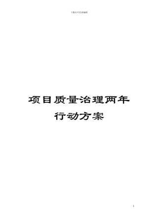 项目质量治理两年行动方案模板