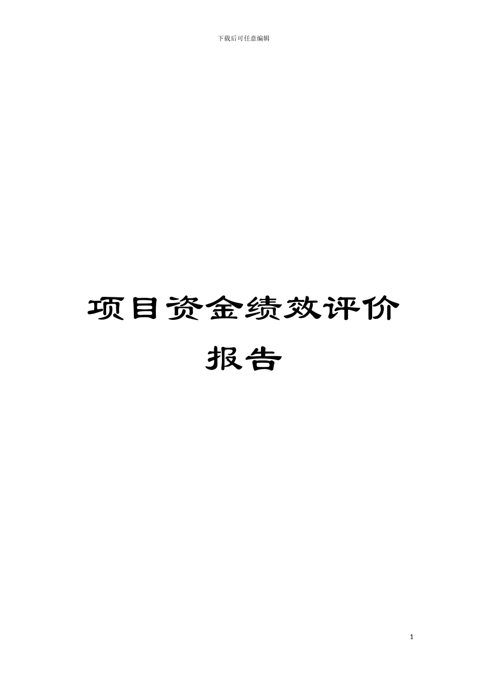 项目资金绩效评价报告模板_第1页
