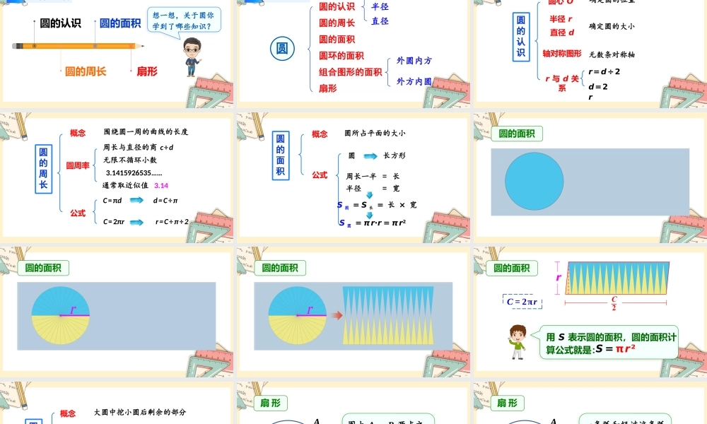 人教版六年级上册数学-2024-2025学年度-总复习-第4课时 圆 教学课件
