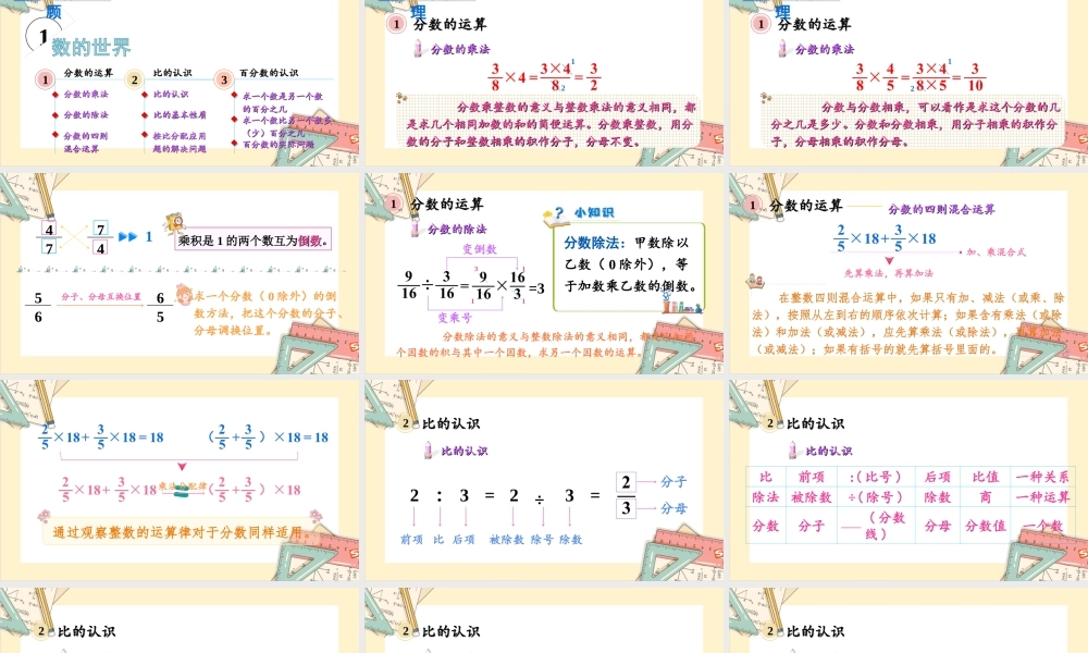 苏教版六年级上册数学-2024-2025学年度-第七单元整理和复习-第1课时 数的世界 教学课件