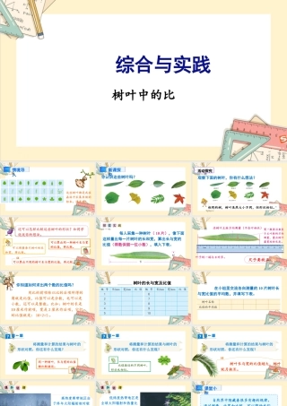 苏教版六年级上册数学-2024-2025学年度-综合与实践 树叶中的比 教学课件