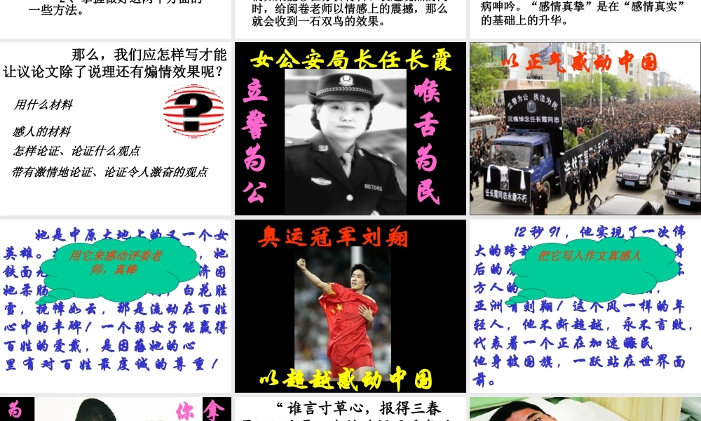 高考复习专题：高考专题讲座：议论文的感情和文采