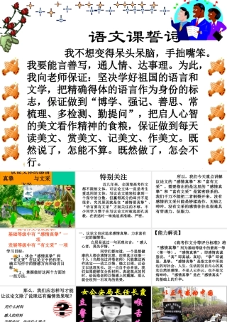 高考复习专题：高考专题讲座：议论文的感情和文采