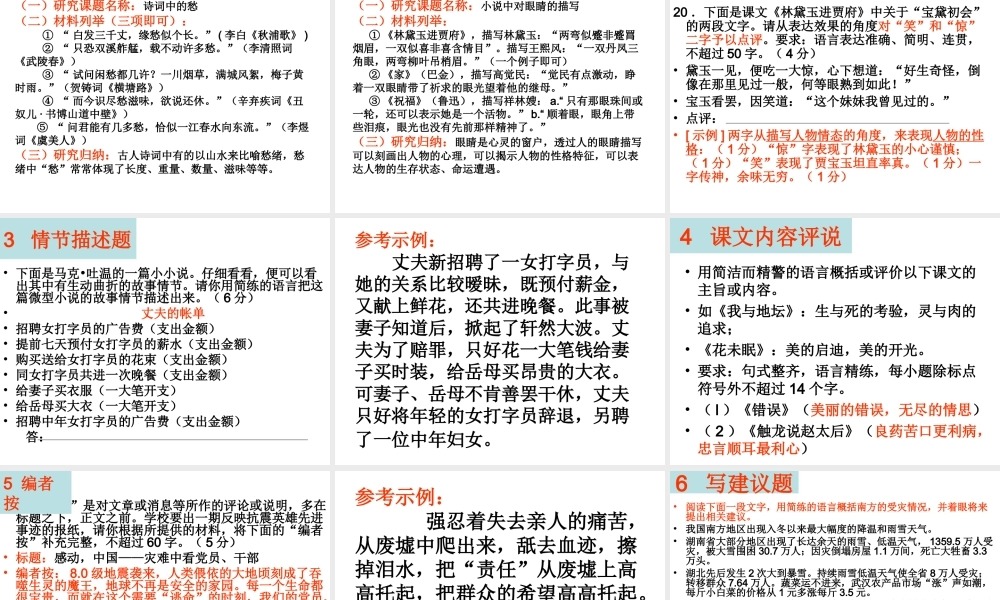 语言文字运用专题复习